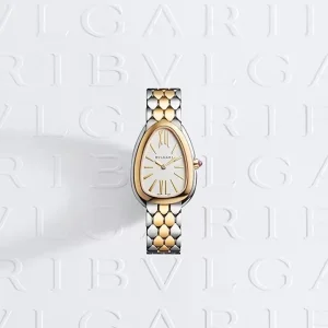 Bvlgari Watch For Women (SZ1010)