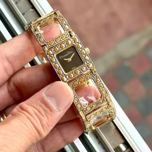 Christian Dior Watch For Women (SZ767)
