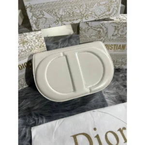 Dior Signature Bag
