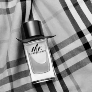 Mr Burberry Perfume
