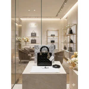 Christian Dior Handbag
