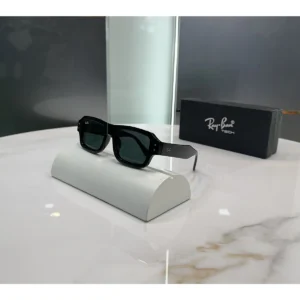 Rayban Matt Sunglasses