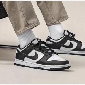 Nike Sb Dunk Low Shoes