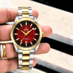 mega Seamaster Aqua Tera Watch