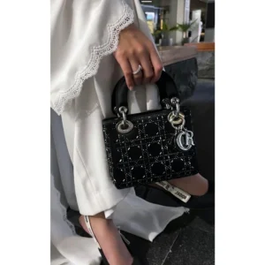 Dior Stars Handbag