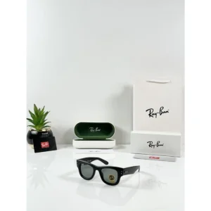 Rayban Puffer Sunglasses